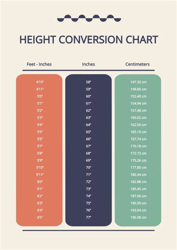 6.8 cm to feet and inches