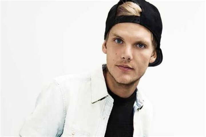 Avicii Avicii - Most Richest Singers from Sweden