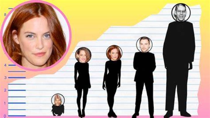 How Tall Is Riley Keough? Height Comparison! YouTube