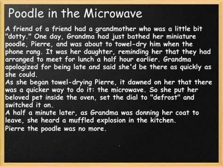 she put her poodle one time in a microwave oven🕷️ YouTube