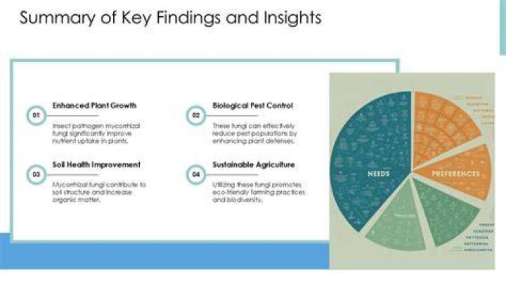 Startling Revelations And Key Findings